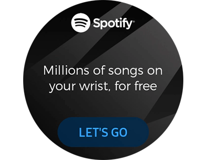 Listen Spotify Offline