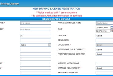 Driving Licence Online