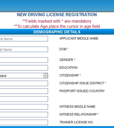 Driving Licence Online