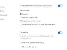 Zoom Audio Notifications