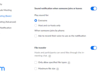 Zoom Audio Notifications