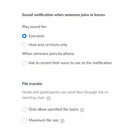 Zoom Audio Notifications