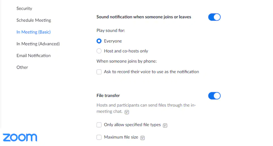 Zoom Audio Notifications