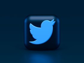 download video twitter free