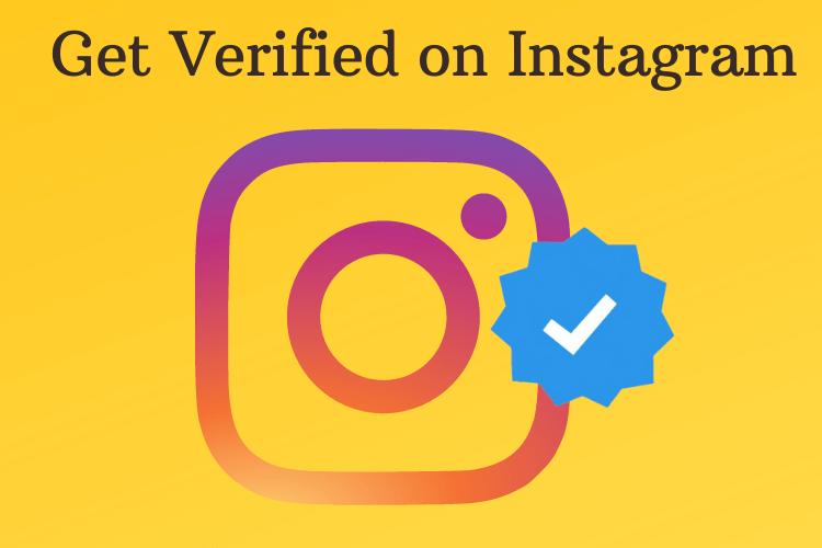 How to Get Verified on Instagram With simple steps Indtech
